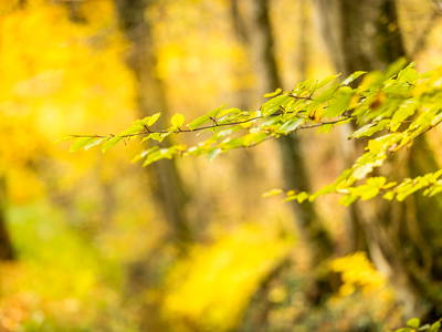 Bild 50 aus  Gut Neuwerk