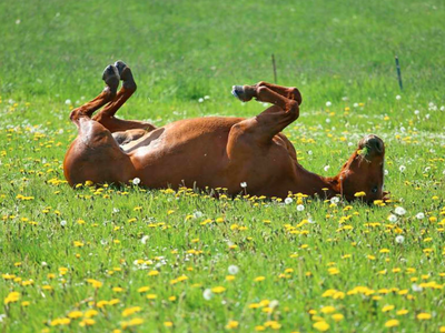 Bild 19 aus  Marienhof