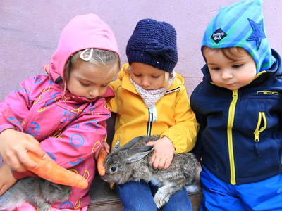 Bild 11 aus  LandSelection Ferienhof Radlandsichten