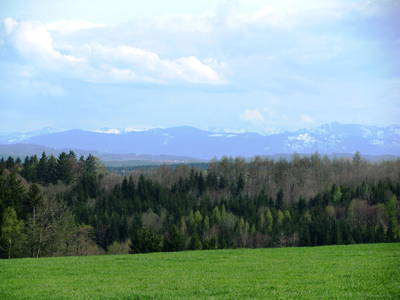 Bild 21 aus  Franzen Hof  Koch