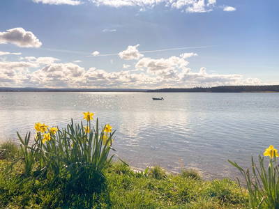 Bild 8 aus  Doune Cottage Findhorn