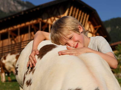 Bild 13 aus  Pristinger Hof