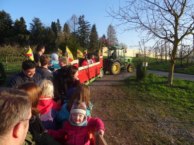 Bild 37 aus  Obst- und Ferienhof Gomeringer