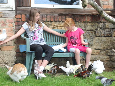 Bild 24 aus  Ferienbauernhof    "Pension Landhof "