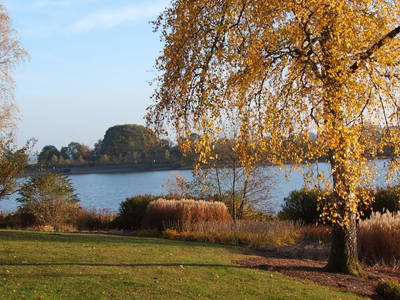 Bild 17 aus  Ferienhäuser Bellana