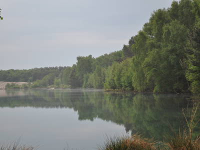 Bild 9 aus  Brokeloher Moorhof