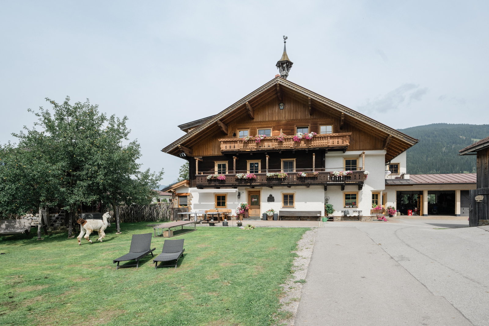 Kinderbauernhof Arnoldgut