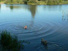 Bild 40 aus  Grenzer Ökohof