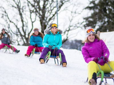 Bild 35 aus  Hornergut