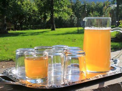 Bild 49 aus  Krösshof Rosen-Residenz