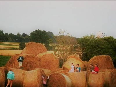 Bild 2 aus  Ferienbauernhof Behnke