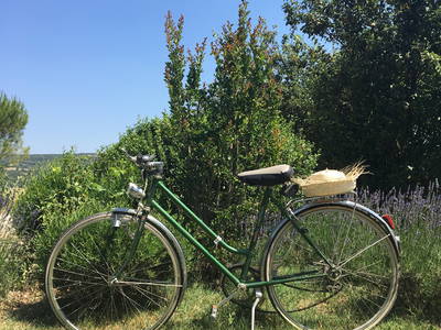 Bild 33 aus  Domaine de La Bastidonne (PROVENCE-LUBERON)