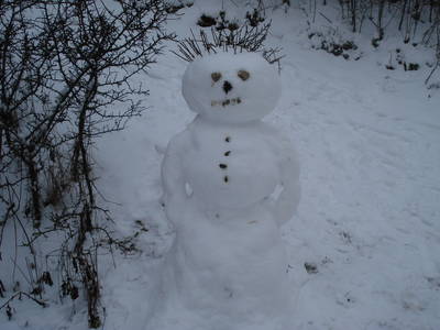 Bild 36 aus  Ferienhof Hohe - Familienfreundlicher Bio Bauernhof in idyllisch gelegenem Dorf.