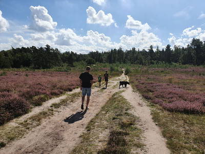 Bild 29 aus  Ferienhof Wegmann