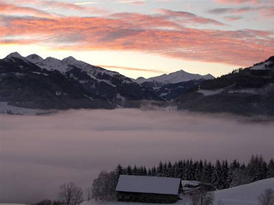 Bild 21 aus  Familienparadies Oberhasenberghof