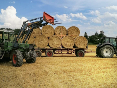 Bild 12 aus  Ferienhof Kornmayer - Nat(UR)laub zwischen Allgäu und Bodensee