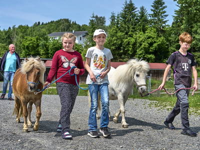 Bild 13 aus  Kinderparadies Höcker - Bio-Bauernhof