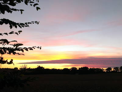 Bild 19 aus  Gut Petersdorf