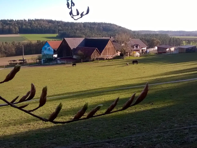 Bild 2 aus  Erlebnishof am Kordigast