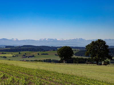 Bild 43 aus  Allgäu Bergferienhof