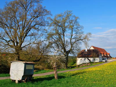 Bild 2 aus  Historische Schäferei