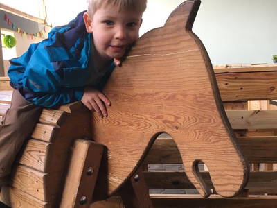 Bild 13 aus  Ponyhof Goldenstein