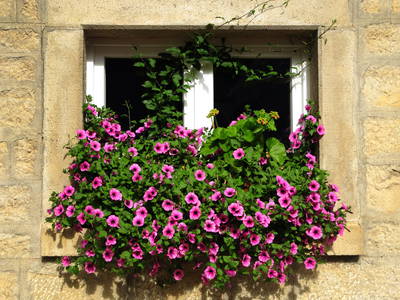 Bild 13 aus  Hellbachhof