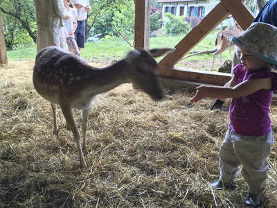 Bild 24 aus  LandSelection Gutshof Käppeler