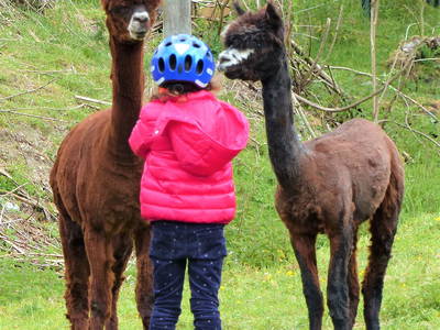 Bild 37 aus  Ferienhof Heuel