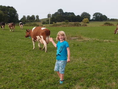 Bild 7 aus  Ostseebauernhof