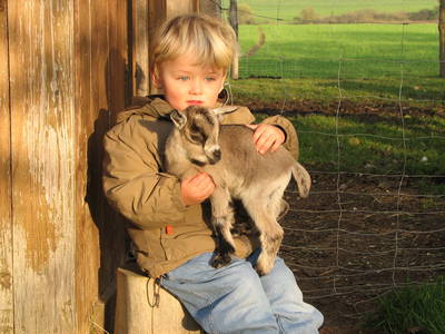 Bild 4 aus  Hofbauer - Ihr Urlaubsbauernhof am Chiemsee