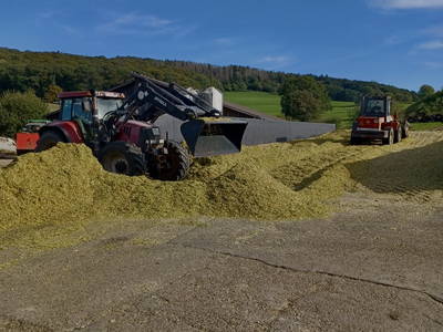 Bild 50 aus  Marienhof