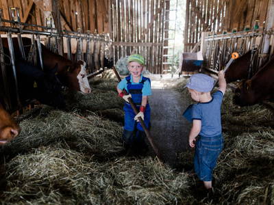 Unsere Kühe freuen sich über einen Stallbesuch