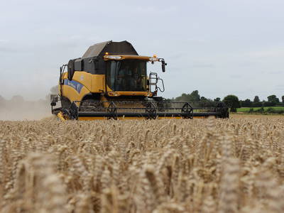 Bild 7 aus  Ferienhof Greggersen