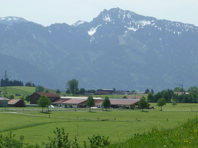 Bild 4 aus  Ferienhof Greis