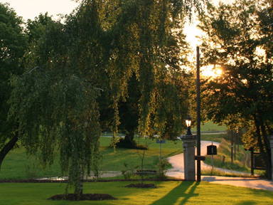 Bild 18 aus  Forstgut