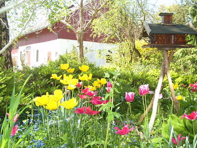 Unser Garten im Frühling