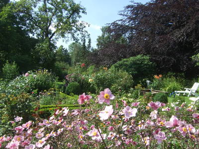 Bild 7 aus  Urlaub bei Familie Schmidt in Wippendorf