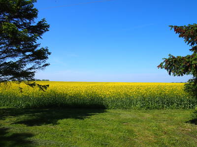 Bild 22 aus  Ferienhaus Gut Rattelvitz-INSEL RÜGEN