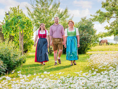 Bild 44 aus  Panoramahof