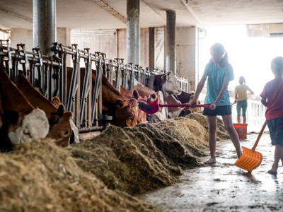 Bild 130 aus  Grainmeisterhof