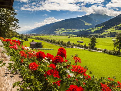 Bild 2 aus  Mösenlehen