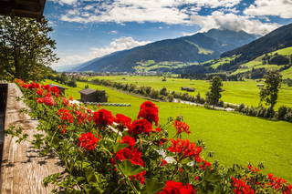 Mösenlehen aus Mittersill