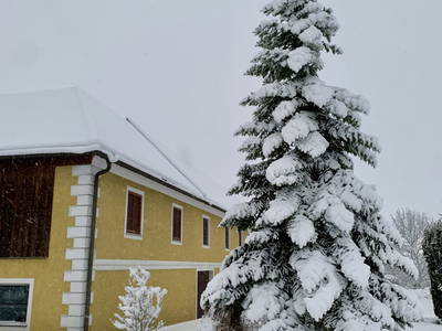 Bild 24 aus  Landhof Ebner