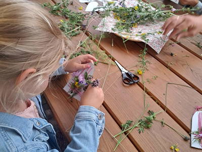 Bild 10 aus  Rotlechner