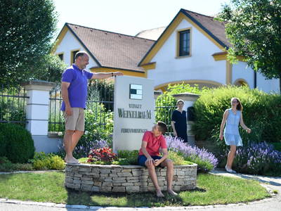 Bild 2 aus  Bio Weingut Weixelbaum