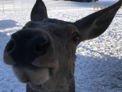 Bild 13 aus  Ferienwohnung Guttenberg