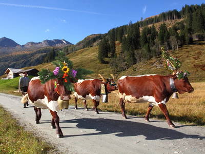 Bild 59 aus  Chalet Gretchenruhe