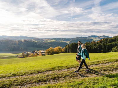 Bild 58 aus  Gut Pecketsberg