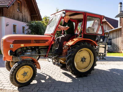 Bild 153 aus  Miniponyhof Wild